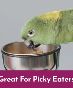 Kaytee NutriSoft Parrot & Conure Bird Food, 3-lbs -Kaytee Sales 2024 357104 PT2. SY630 V1653401213