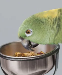 Kaytee Food from the Wild Medley Med & Large Pet Bird Treats, 3-oz bag -Kaytee Sales 2024 368873 PT2. SY630 V1644919950