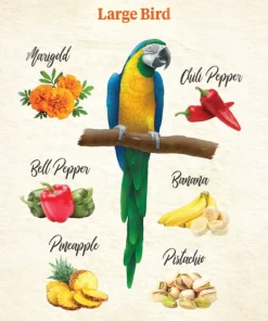 Kaytee Food from the Wild Medley Med & Large Pet Bird Treats, 3-oz bag -Kaytee Sales 2024 368873 PT3. SY630 V1644917222