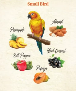 Kaytee Food from the Wild Medley Small Pet Bird Treats, 3-oz bag 9 Kaytee Food from the Wild Medley Small Pet Bird Treats, 3-oz bag -Kaytee Sales 2024 368875 PT3. SY630 V1644917801