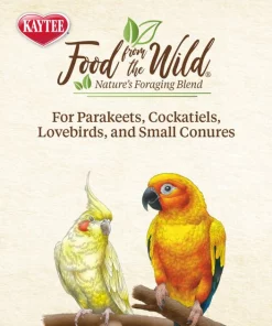 Kaytee Food from the Wild Medley Small Pet Bird Treats, 3-oz bag 11 Kaytee Food from the Wild Medley Small Pet Bird Treats, 3-oz bag -Kaytee Sales 2024 368875 PT5. SY630 V1644912749