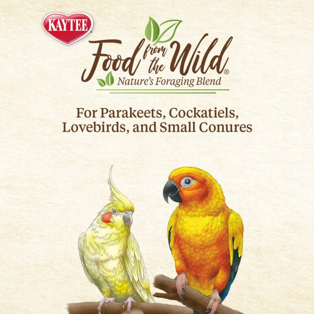 Kaytee Food from the Wild Medley Small Pet Bird Treats, 3-oz bag 6 Kaytee Food from the Wild Medley Small Pet Bird Treats, 3-oz bag - Image 6