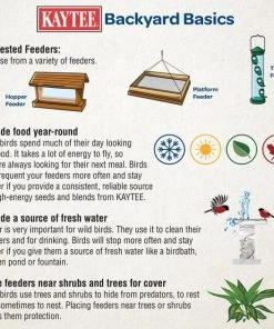 Kaytee Birders Blend Wild Bird Food -Kaytee Sales 2024 370022 PT6. SY630 V1646274116