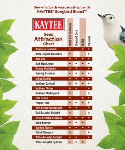 Kaytee Songbird Wild Bird Food, 14-lb bag 12 Kaytee Songbird Wild Bird Food, 14-lb bag -Kaytee Sales 2024 370024 PT5. SY630 V1646281913