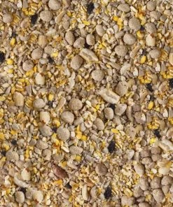 Kaytee Seed & Suet No Mess Blend Blueberry Flavor Wild Bird Food, 10-lb bag -Kaytee Sales 2024 370028 PT3. SY630 V1646271740