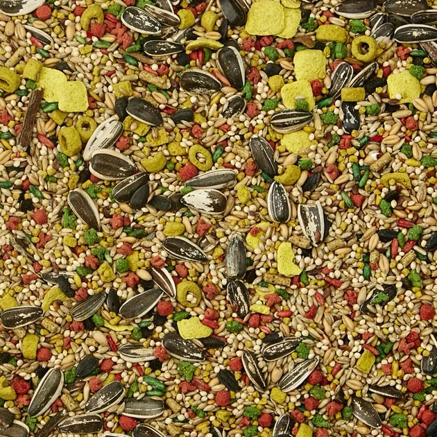 Kaytee Egg-Cite! Forti-Diet Pro Health Cockatiel Food, 5-lb bag Kaytee Egg-Cite! Forti-Diet Pro Health Cockatiel Food -Kaytee Sales 2024 94943 PT3. SY630 V1620785591