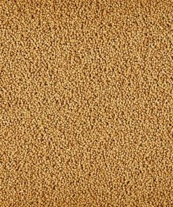 Kaytee Exact Cockatiel Food 7 Kaytee Exact Cockatiel Food -Kaytee Sales 2024 94955 PT3. SY630 V1577495281