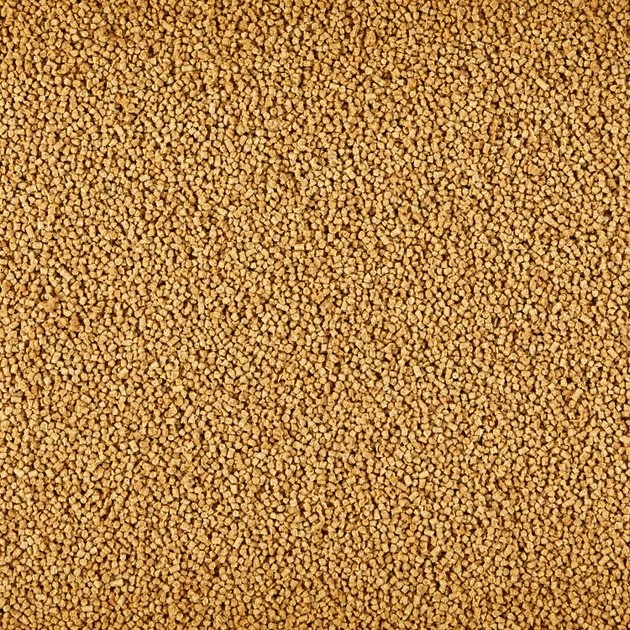 Kaytee Exact Cockatiel Food 4 Kaytee Exact Cockatiel Food - Image 4