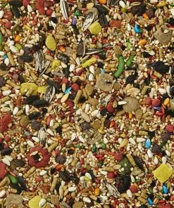 Kaytee Fiesta Variety Mix Cockatiel Food 8 Kaytee Fiesta Variety Mix Cockatiel Food -Kaytee Sales 2024 95217 PT3. SY630 V1612478845