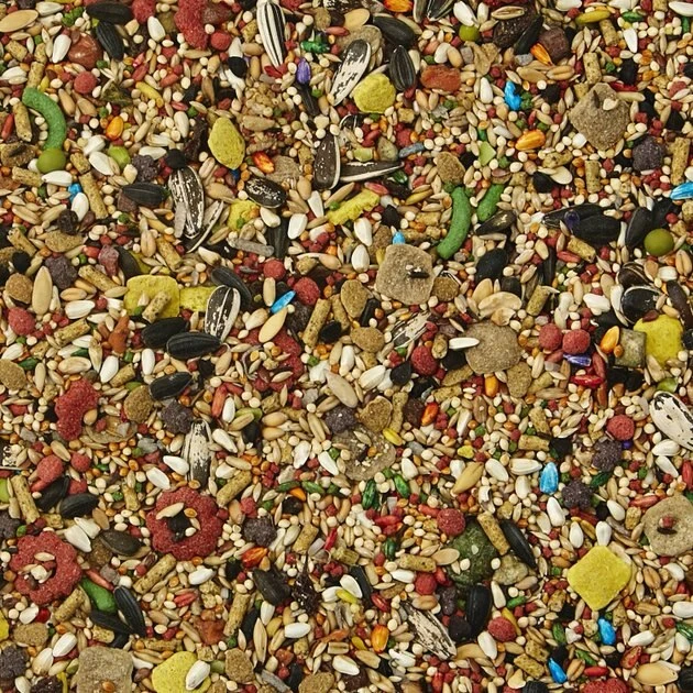 Kaytee Fiesta Variety Mix Cockatiel Food 4 Kaytee Fiesta Variety Mix Cockatiel Food - Image 4