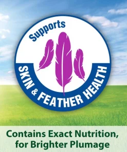 Kaytee Fiesta Variety Mix Macaw Food -Kaytee Sales 2024 95227 pt4. SY630 V1577495675