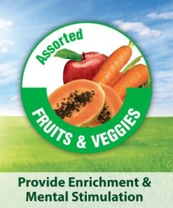 Kaytee Fiesta Variety Mix Parakeet Food 13 Kaytee Fiesta Variety Mix Parakeet Food -Kaytee Sales 2024 95231 PT4. SY630 V1618870080