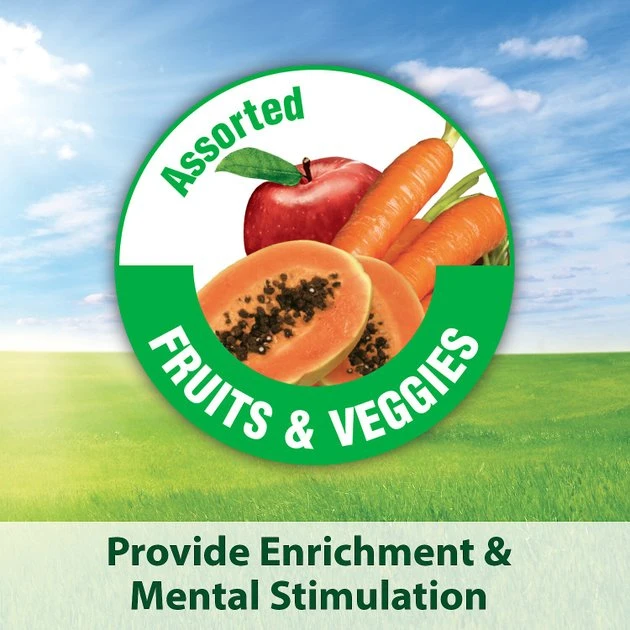 Kaytee Fiesta Variety Mix Parakeet Food 5 Kaytee Fiesta Variety Mix Parakeet Food - Image 5