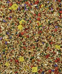 Kaytee Fiesta Variety Mix Parakeet Food 16 Kaytee Fiesta Variety Mix Parakeet Food -Kaytee Sales 2024 95231 PT7. SY630 V1618873678