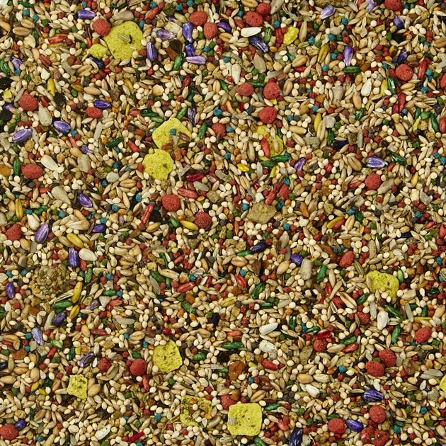 Kaytee Fiesta Variety Mix Parakeet Food 8 Kaytee Fiesta Variety Mix Parakeet Food - Image 8