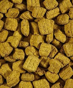 Kaytee Forti-Diet Pro Health Parrot Biscuit Bird Treats -Kaytee Sales 2024 95307 PT4. SY630 V1550524320