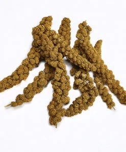 Kaytee Natural Spray Millet Bird Treats -Kaytee Sales 2024 95334 pt3. SY630 V1581516237