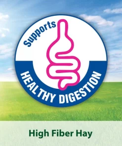 Kaytee Natural Timothy Blend Cubes Small Animal Treats -Kaytee Sales 2024 95336 PT4. SY630 V1657661186