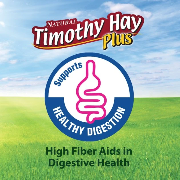 Kaytee Timothy Hay Plus Carrots Small Animal Treat 7 Kaytee Timothy Hay Plus Carrots Small Animal Treat - Image 7