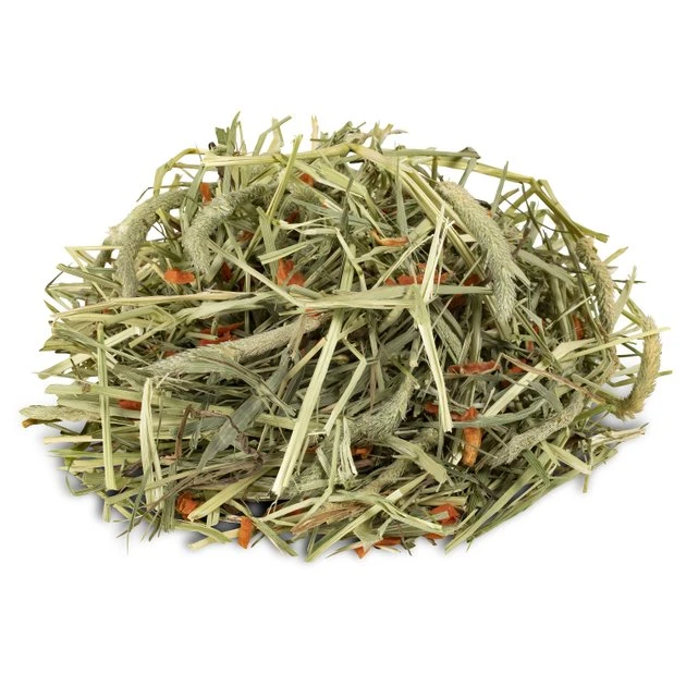 Kaytee Timothy Hay Plus Carrots Small Animal Treat 8 Kaytee Timothy Hay Plus Carrots Small Animal Treat - Image 8