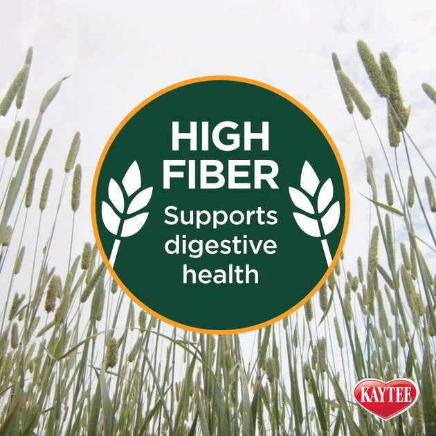 Kaytee Timothy Hay Plus Cranberries Small Animal Treat 6 Kaytee Timothy Hay Plus Cranberries Small Animal Treat - Image 6