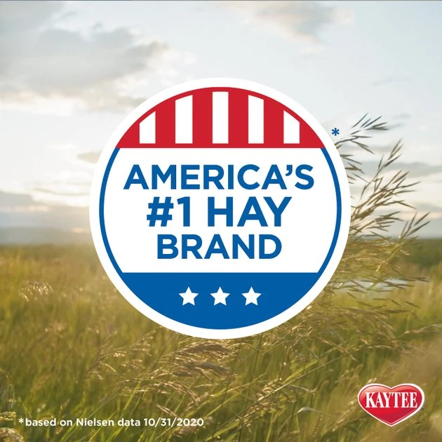 Kaytee Timothy Hay Plus Cranberries Small Animal Treat 8 Kaytee Timothy Hay Plus Cranberries Small Animal Treat - Image 8