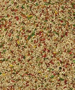 Kaytee Forti-Diet Pro Health Parakeet Food 3 Kaytee Forti-Diet Pro Health Parakeet Food -Kaytee Sales 2024 95423 PT3. SY630 V1637624890