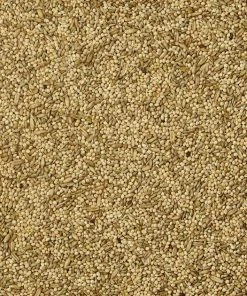 Kaytee Supreme Parakeet Food 8 Kaytee Supreme Parakeet Food -Kaytee Sales 2024 95435 PT3. SY630 V1591017826