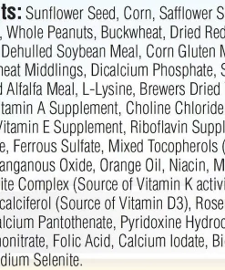 Kaytee Supreme Parrot Food 10 Kaytee Supreme Parrot Food -Kaytee Sales 2024 95438 PT4. SY630 V1581460675