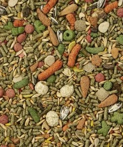 Kaytee Fiesta Gourmet Variety Diet Chinchilla Food -Kaytee Sales 2024 95483 PT2. SY630 V1591017754