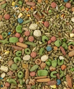 Kaytee Fiesta Gourmet Variety Diet Guinea Pig Food -Kaytee Sales 2024 95489 PT2. SY630 V1607738534