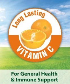 Kaytee Fiesta Gourmet Variety Diet Guinea Pig Food -Kaytee Sales 2024 95489 PT7. SY630 V1607737929