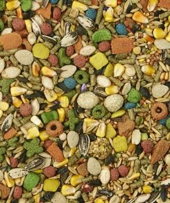 Kaytee Fiesta Gourmet Variety Diet Gerbil & Hamster Food -Kaytee Sales 2024 95494 PT2. SY630 V1591017762