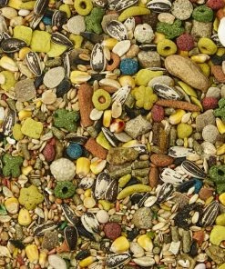 Kaytee Fiesta Gourmet Variety Diet Mouse & Rat Food 7 Kaytee Fiesta Gourmet Variety Diet Mouse & Rat Food -Kaytee Sales 2024 95500 PT2. SY630 V1607731330