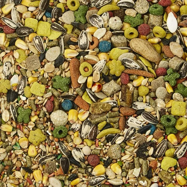 Kaytee Fiesta Gourmet Variety Diet Mouse & Rat Food 3 Kaytee Fiesta Gourmet Variety Diet Mouse & Rat Food - Image 3