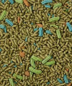 Kaytee Forti-Diet Pro Health Adult Rabbit Food 11 Kaytee Forti-Diet Pro Health Adult Rabbit Food -Kaytee Sales 2024 95522 PT4. SY630 V1600206964