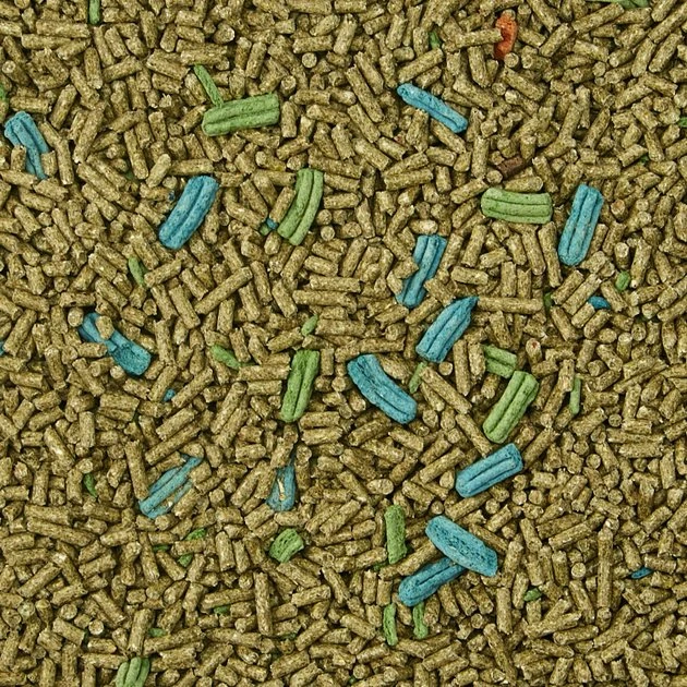 Kaytee Forti-Diet Pro Health Chinchilla Food 5 Kaytee Forti-Diet Pro Health Chinchilla Food - Image 5