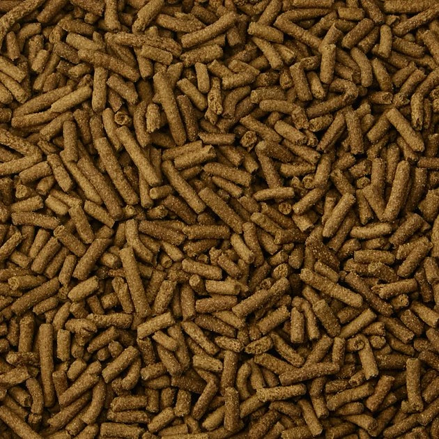 Kaytee Fortified Diet with Real Chicken Ferret Food 3 Kaytee Fortified Diet with Real Chicken Ferret Food - Image 3