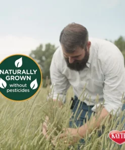 Kaytee Natural Timothy Hay Small Animal Food 13 Kaytee Natural Timothy Hay Small Animal Food -Kaytee Sales 2024 95554 PT4. SY630 V1621374523