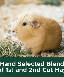 Kaytee Natural Timothy Hay Small Animal Food 16 Kaytee Natural Timothy Hay Small Animal Food -Kaytee Sales 2024 95554 PT7. SY630 V1621375500