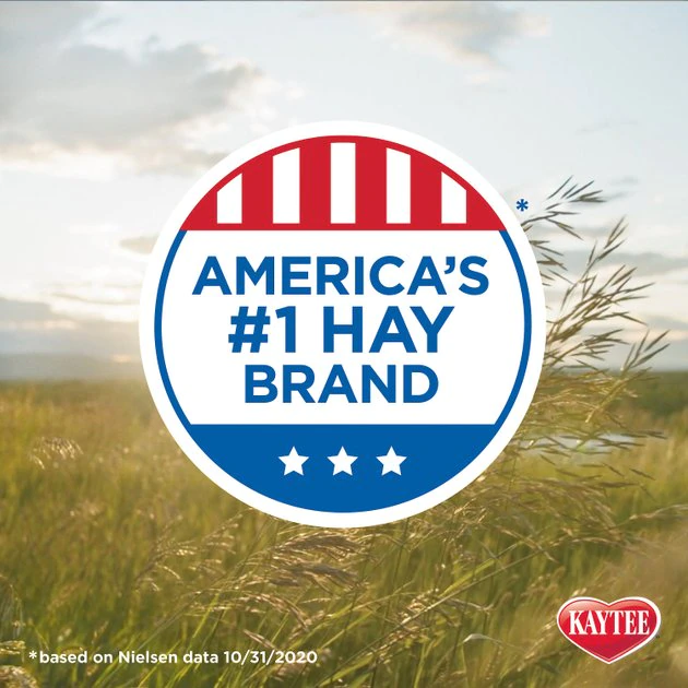 Kaytee Natural Timothy Hay Small Animal Food 9 Kaytee Natural Timothy Hay Small Animal Food - Image 9
