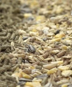 Kaytee Supreme Fortified Daily Diet Rabbit Food -Kaytee Sales 2024 95589 PT6. SY630 V1621375360