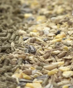 Kaytee Timothy Complete Rabbit Food -Kaytee Sales 2024 95592 PT7. SY630 V1613058691