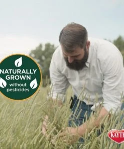 Kaytee Timothy Hay Plus Carrots Small Animal Food -Kaytee Sales 2024 95614 PT4. SY630 V1618877547