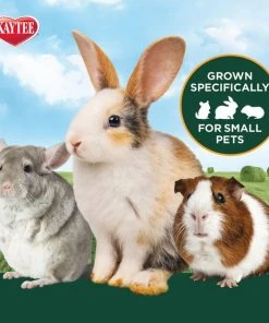 Kaytee Timothy Hay Plus Carrots Small Animal Food -Kaytee Sales 2024 95614 PT5. SY630 V1618868530