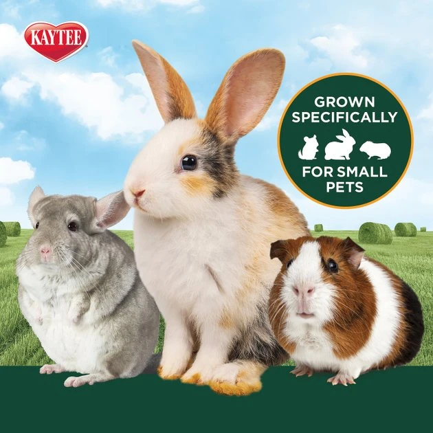 Kaytee Timothy Hay Plus Mint Small Animal Food 4 Kaytee Timothy Hay Plus Mint Small Animal Food - Image 4
