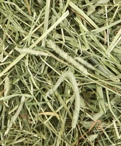 Kaytee Timothy Hay Plus Mint Small Animal Food 16 Kaytee Timothy Hay Plus Mint Small Animal Food -Kaytee Sales 2024 95618 PT7. SY630 V1621905182