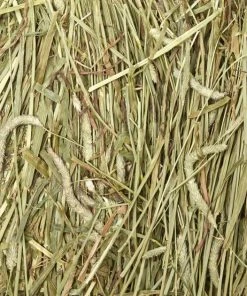 Kaytee Timothy Hay Wafer-Cut Small Animal Food -Kaytee Sales 2024 95623 PT7. SY630 V1621898047